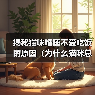 揭秘猫咪嗜睡不爱吃饭的原因(为什么猫咪总是懒洋洋的?为什么猫咪不爱吃饭?)(图4) 揭秘猫咪嗜睡不爱吃饭的原因(为什么猫咪总是懒洋洋的?为什么猫咪不爱吃饭?)(图4)