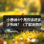 小泰迪4个月应该吃多少狗粮?(了解宠物狗的饮食需求,让小泰迪健康成长)(图4) 小泰迪4个月应该吃多少狗粮?(了解宠物狗的饮食需求,让小泰迪健康成长)(图4)