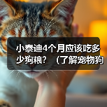 小泰迪4个月应该吃多少狗粮?(了解宠物狗的饮食需求,让小泰迪健康成长)(图3) 小泰迪4个月应该吃多少狗粮?(了解宠物狗的饮食需求,让小泰迪健康成长)(图3)