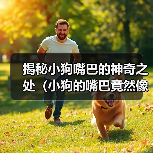 揭秘小狗嘴巴的神奇之处（小狗的嘴巴竟然像这个东西！）（图3）