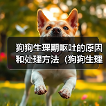 狗狗生理期呕吐的原因和处理方法（狗狗生理期为什么会呕吐？如何帮助狗狗缓解？）
