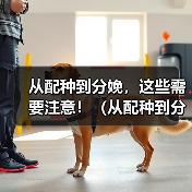 从配种到分娩，这些需要注意！（从配种到分娩，这些需要注意！）（图3）