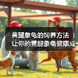 黄腿象龟的饲养方法（让你的黄腿象龟健康成长）（图4）