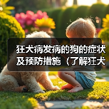 狂犬病发病的狗的症状及预防措施（了解狂犬病，保护你的宠物）（图4）