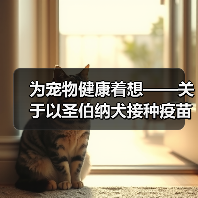 为宠物健康着想——关于以圣伯纳犬接种疫苗的注意事项(保护圣伯纳犬免受疾病侵害)(图2) 为宠物健康着想——关于以圣伯纳犬接种疫苗的注意事项(保护圣伯纳犬免受疾病侵害)(图2)