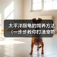 太平洋丽龟的饲养方法（一步步教你打造宠物丽龟之家）（图3）
