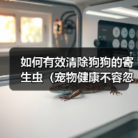 如何有效清除狗狗的寄生虫(宠物健康不容忽视,预防胜于治疗)(图4) 如何有效清除狗狗的寄生虫(宠物健康不容忽视,预防胜于治疗)(图4)
