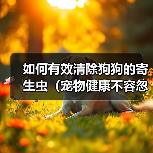 如何有效清除狗狗的寄生虫(宠物健康不容忽视,预防胜于治疗)(图2) 如何有效清除狗狗的寄生虫(宠物健康不容忽视,预防胜于治疗)(图2)
