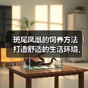 斑尾凤凰的饲养方法（打造舒适的生活环境，健康饮食与细致护理）（图3）