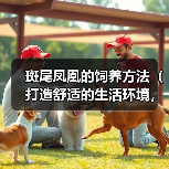 斑尾凤凰的饲养方法（打造舒适的生活环境，健康饮食与细致护理）（图2）