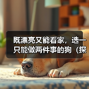 既漂亮又能看家，选一只能做两件事的狗（探讨狗的美观与实用性，让你找到理想的宠物）（图4）