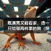 既漂亮又能看家，选一只能做两件事的狗（探讨狗的美观与实用性，让你找到理想的宠物）
