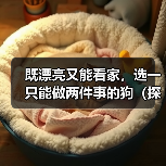既漂亮又能看家，选一只能做两件事的狗（探讨狗的美观与实用性，让你找到理想的宠物）（图3）
