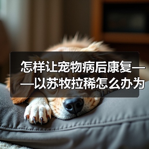怎样让宠物病后康复——以苏牧拉稀怎么办为例（如何护理宠物、注意事项及饮食建议）