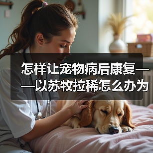怎样让宠物病后康复——以苏牧拉稀怎么办为例(如何护理宠物、注意事项及饮食建议)(图4) 怎样让宠物病后康复——以苏牧拉稀怎么办为例(如何护理宠物、注意事项及饮食建议)(图4)