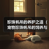 珍珠帆吊的养护之道（宠物珍珠帆吊的饲养与细节）（图2）