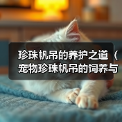 珍珠帆吊的养护之道（宠物珍珠帆吊的饲养与细节）（图3）