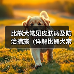 比熊犬常见皮肤病及防治措施(详解比熊犬常见皮肤病种类和预防方法)(图4) 比熊犬常见皮肤病及防治措施(详解比熊犬常见皮肤病种类和预防方法)(图4)