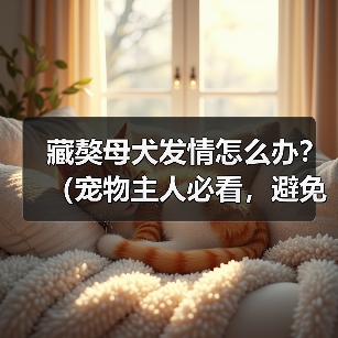 藏獒母犬发情怎么办?(宠物主人必看,避免犬只走失!)(图2) 藏獒母犬发情怎么办?(宠物主人必看,避免犬只走失!)(图2)