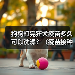 狗狗打完狂犬疫苗多久可以洗澡？（疫苗接种时间与洗澡注意事项）（图4）