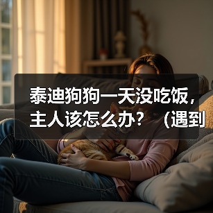 泰迪狗狗一天没吃饭，主人该怎么办？（遇到狗狗不吃饭的情况，要及时采取措施）