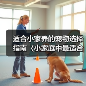 适合小家养的宠物选择指南（小家庭中最适合的宠物选择及饲养技巧）（图3）