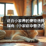 适合小家养的宠物选择指南（小家庭中最适合的宠物选择及饲养技巧）（图2）
