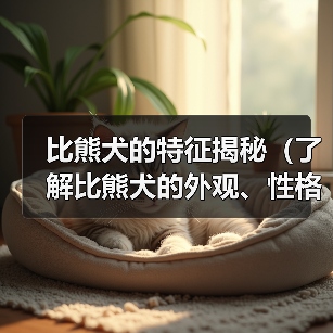 比熊犬的特征揭秘（了解比熊犬的外观、性格和护理需求）（图2）