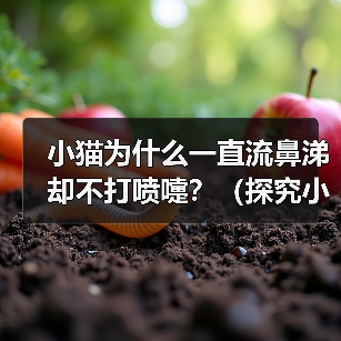 小猫为什么一直流鼻涕却不打喷嚏?(探究小猫流鼻涕的原因和处理方法)(图3) 小猫为什么一直流鼻涕却不打喷嚏?(探究小猫流鼻涕的原因和处理方法)(图3)