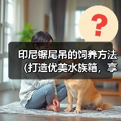 印尼锯尾吊的饲养方法(打造优美水族箱,享受健康生活)(图2) 印尼锯尾吊的饲养方法(打造优美水族箱,享受健康生活)(图2)