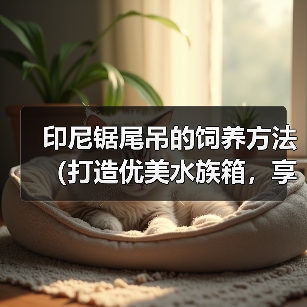 印尼锯尾吊的饲养方法(打造优美水族箱,享受健康生活)(图4) 印尼锯尾吊的饲养方法(打造优美水族箱,享受健康生活)(图4)