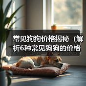 常见狗狗价格揭秘(解析6种常见狗狗的价格及入手要点)(图4) 常见狗狗价格揭秘(解析6种常见狗狗的价格及入手要点)(图4)