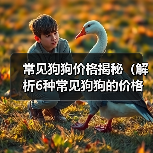 常见狗狗价格揭秘(解析6种常见狗狗的价格及入手要点)(图3) 常见狗狗价格揭秘(解析6种常见狗狗的价格及入手要点)(图3)