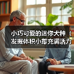 小巧可爱的迷你犬种(发掘体积小却充满活力的狗狗品种)(图3) 小巧可爱的迷你犬种(发掘体积小却充满活力的狗狗品种)(图3)
