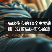猫咪伤心的10个主要表现(分析猫咪伤心的迹象及如何帮助它们恢复正常)(图3) 猫咪伤心的10个主要表现(分析猫咪伤心的迹象及如何帮助它们恢复正常)(图3)