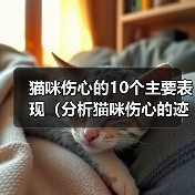 猫咪伤心的10个主要表现(分析猫咪伤心的迹象及如何帮助它们恢复正常)(图4) 猫咪伤心的10个主要表现(分析猫咪伤心的迹象及如何帮助它们恢复正常)(图4)