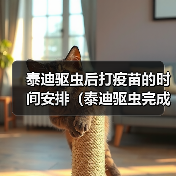 泰迪驱虫后打疫苗的时间安排(泰迪驱虫完成后接种疫苗的最佳时间选择)(图4) 泰迪驱虫后打疫苗的时间安排(泰迪驱虫完成后接种疫苗的最佳时间选择)(图4)