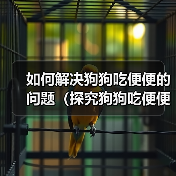 如何解决狗狗吃便便的问题（探究狗狗吃便便的原因及矫正方法）