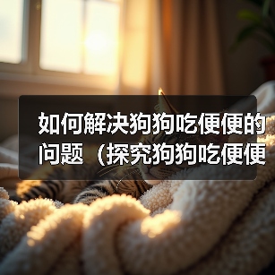 如何解决狗狗吃便便的问题(探究狗狗吃便便的原因及矫正方法)(图2) 如何解决狗狗吃便便的问题(探究狗狗吃便便的原因及矫正方法)(图2)