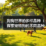 狗狗世界的多样品种（探索宠物狗的不同品种和特点）（图3）