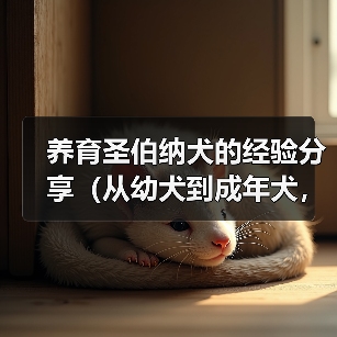 养育圣伯纳犬的经验分享(从幼犬到成年犬,如何照顾你的“大熊狗”)(图3) 养育圣伯纳犬的经验分享(从幼犬到成年犬,如何照顾你的“大熊狗”)(图3)