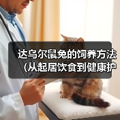 达乌尔鼠兔的饲养方法(从起居饮食到健康护理,这些你都需要知道!)(图3) 达乌尔鼠兔的饲养方法(从起居饮食到健康护理,这些你都需要知道!)(图3)