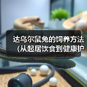 达乌尔鼠兔的饲养方法(从起居饮食到健康护理,这些你都需要知道!)(图2) 达乌尔鼠兔的饲养方法(从起居饮食到健康护理,这些你都需要知道!)(图2)