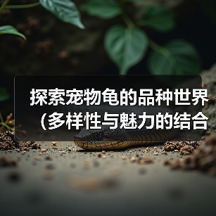 探索宠物龟的品种世界(多样性与魅力的结合,解密宠物龟的奇妙生态)(图3) 探索宠物龟的品种世界(多样性与魅力的结合,解密宠物龟的奇妙生态)(图3)