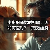 小狗狗睡觉时打嗝，该如何应对？（有效缓解小狗狗打嗝的方法）