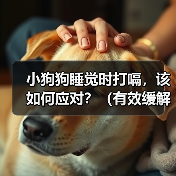 小狗狗睡觉时打嗝,该如何应对?(有效缓解小狗狗打嗝的方法)(图4) 小狗狗睡觉时打嗝,该如何应对?(有效缓解小狗狗打嗝的方法)(图4)