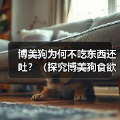博美狗为何不吃东西还吐?(探究博美狗食欲不振和呕吐的原因及应对方法)(图4) 博美狗为何不吃东西还吐?(探究博美狗食欲不振和呕吐的原因及应对方法)(图4)