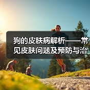 狗的皮肤病解析——常见皮肤问题及预防与治疗方法（揭秘狗狗皮肤病的形成原因和有效应对措施）（图3）