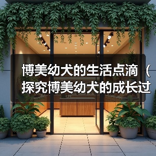 博美幼犬的生活点滴(探究博美幼犬的成长过程,分享日常养护技巧)(图1) 博美幼犬的生活点滴(探究博美幼犬的成长过程,分享日常养护技巧)(图1)