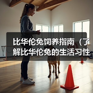 比华伦兔饲养指南（了解比华伦兔的生活习性和饲养技巧，让你成为兔妈妈的好帮手）（图3）